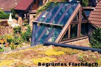 Begrüntes Flachdach